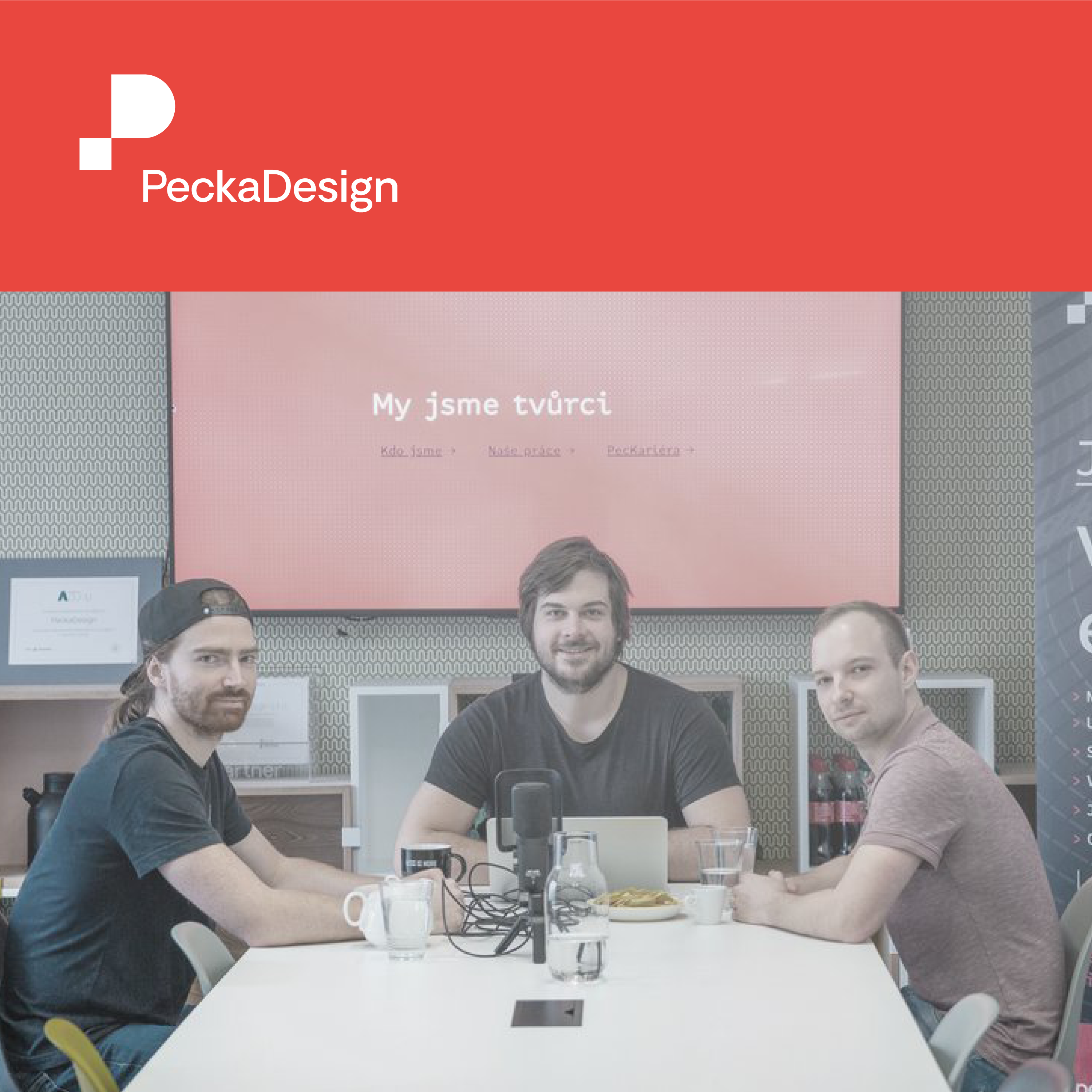 PeckaPodcast: Význam webové analytiky u online projektů