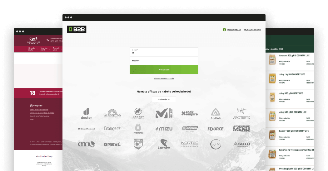 Efektivní B2B eshop.